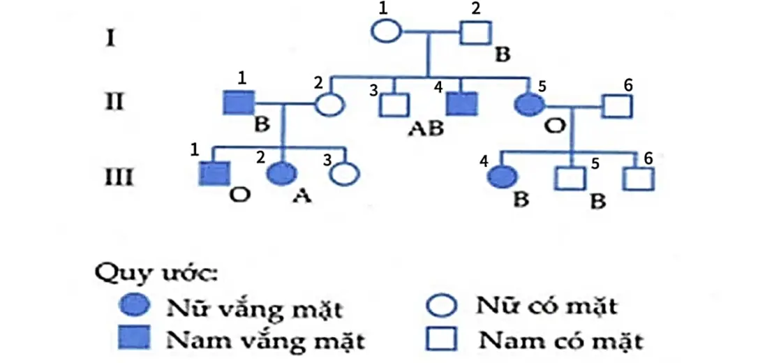 Câu 10: Một cụ bà không may bị tai nạn giao thông khi băng qua đường. Do bị chấn thương ở đầu và mất nhiều máu, bác sĩ yêu cầu gia đình nạn nhân truyền máu gấp cho cụ bà. Được biết thông tin về nhóm máu của gia đình này qua phả hệ như sau, tuy nhiên có một số người trong gia đình vắng mặt, một số khác chưa rõ thông tin về nhóm máu.Hỏi trong gia đình nạn nhân nên đưa ai đi truyền máu cho cụ bà (số I.1 trong phả hệ) là thích hợp và nhanh nhất?
