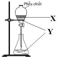 Câu 14: Bộ dụng cụ chiết dùng để tách hai chất lỏng X, Y được mô tả như hình vẽ: Hai chất X, Y tương ứng là