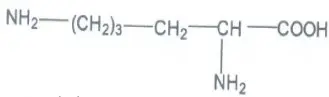 Câu 17: Công thức là công thức: