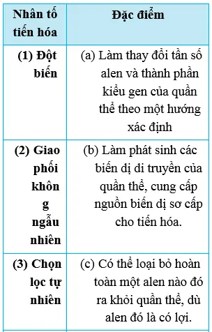Câu 23: Cho bảng về các nhân tố tiến hóa và các thông tin tương ứng: Tổ hợp ghép đúng là: