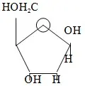 Câu 23: Công thức ở bên là cấu tạo của: