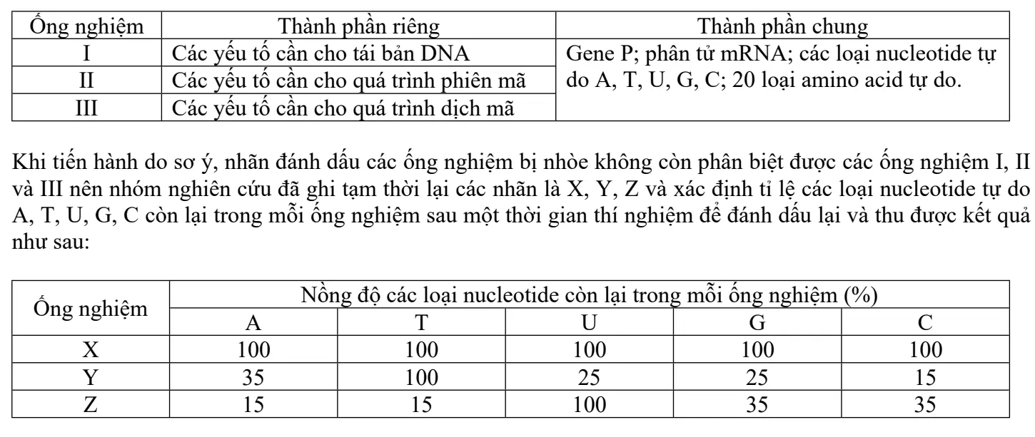 Câu 23: Thí nghiệm tổng hợp DNA, RNA, protein nhân tạo bằng cách bố trí ba ống nghiệm I, II, III và bổ sung thêm các thành phần như ở bảng sau: Các nhận xét rút ra sau đây là Đúng hay Sai ? a) Các ống nghiệm X, Y, Z lần lượt tương ứng với các ống nghiệm III, II, I. b) Trong quá trình thí nghiệm, ở ống nghiệm I cần tăng nhiệt độ để phá vỡ các liên kết hidrogene giữa hai mạch đơn của DNA. Nếu một gene Q dài bằng gene P nhưng có tỉ lệ A + T/G + C lớn hơn gene P thì nhiệt độ cần để tách hoàn toàn hai mạch đơn của gene Q lớn hơn so với gene P. c) Trong quá trình thí nghiệm, ở ống nghiệm III, nếu cả 20 loại amino acid tự do được sử dụng để dịch mã thì đã có 20 loại tRNA được huy động để vận chuyển các amino acid. d) Muốn thu được đột biến gene với tần số cao thì nên sử dụng các tác nhân gây đột biến gene tác động vào ống nghiệm Z.
