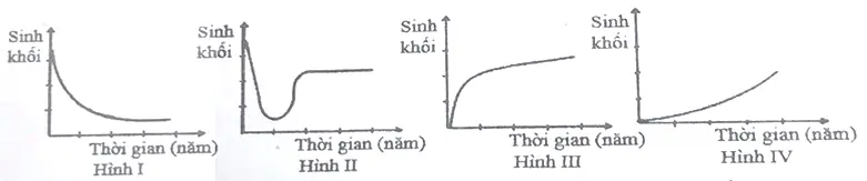 Câu 25: Giả sử sự thay đổi sinh khối trong quá trình diễn thế sinh thái của 4 quần xã sinh vật được mô tả ở các hình I; II; III và IV. Trong 4 hình trên, 2 hình nào đều mô tả sinh khối của quần xã trong quá trình diễn thế nguyên sinh.