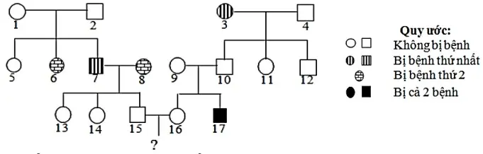 Câu 25: Phả hệ sau mô tả hai bệnh di truyền phân li độc lập với nhau, mỗi bệnh do một gen có 2 alen quy định, trội lặn hoàn toàn. Biết không xảy ra đột biến. Theo lí thuyết, có bao nhiêu phát biểu sau đây đúng? I. Có thể xác định được chính xác kiểu gen của 8 người. II. Xác suất sinh con gái đầu lòng bị cả hai bệnh của cặp 15-16 là 1/36 III. Xác suất sinh con chỉ bị một bệnh của cặp 15-16 là 5/18. IV. Xác suất để đứa con của cặp vợ chồng số 15 và 16 mang alen gây bệnh là 8/9