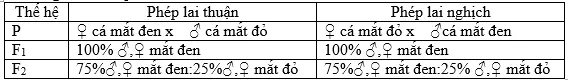 Câu 25: Tính trạng màu mắt ở cá kiếm do 1 gen có 2 alen quy định. Một nhóm học sinh tiến hành thí nghiệm và ghi lại kết quả như sau: Trong các kết luận sau đây m,à nhóm học sinh rút ra từ thí nghiệm trên, kết luận nào là sai