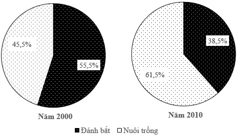 Câu 31: Cho biểu đồ: CƠ CẤU GIÁ TRỊ SẢN XUẤT GDP THEO GIÁ THỰC TẾ PHÂN THEO HOẠT ĐỘNG CỦA NƯỚC TA NĂM 2000 VÀ 2010 (%) Nhận xét nào sau đây đúng với cơ cấu giá trị sản xuất thuỷ sản phân theo hoạt động của nước ta năm 2000 và năm 2010?