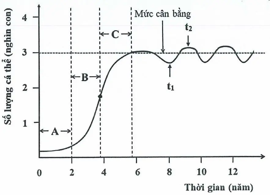 Câu 33: Đồ thị bên mô tả sự thay đổi số lượng cá thể của một quần thể động vật giả định trong điều kiện môi trường tương đối ổn định theo thời gian. Trong đó, A,B,C biểu diễn các giai đoạn tăng trưởng của quần thể; $t_1$, $t_2$ là thời điểm cụ thể trong quá trình tăng trưởng của quần thể. Những phát biểu nào sau đây về đồ thị này là đúng? I. Ở giai đoạn A, sự thay đổi số lượng cá thể của quần thể là thấp do kích thước quần thể ban đầu nhỏ. II. Đường cong tăng trưởng của quần thể từ giai đoạn A đến C là đường cong chữ J. III. Ở thời điểm $t_2$, kích thước quần thể tăng cao, nguồn sống trở nên thiếu hụt, cạnh tranh cùng loài tăng. IV. Trong giai đoạn từ thời điểm $t_1$ đến $t_2$, quần thể có tổng số cá thể sinh ra và nhập cư lớn hơn tổng số cá thể chết đi và xuất cư.