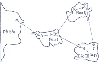 Câu 34: Quá trình hình thành các loài B, C, D từ loài A (loài gốc) được mô tả ở hinh bên. Phân tích hình này, theo lí thuyết, có bao nhiêu phát biểu sau đây đúng? I. Các cá thể của loài B ở đảo II có thể mang một số alen đặc trưng mà các cá thể của loài B ở đảo I không có. II. Khoảng cách giữa các đảo có thể là yếu tố duy trì sự khác biệt về vốn gen giữa các quần thể ở đảo I, đảo II và đảo III. III. Vốn gen của các quần thể thuộc loại B ở đảo I, đảo II và đảo III phân hóa theo cùng 1 hướng. IV. Điều kiện địa lí ở các đảo là nhân tố trực tiếp gây ra những thay đổi về vốn gen của mỗi quần thể. Theo lí thuyết, có bao nhiêu phát biểu sau đây đúng?