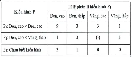 Câu 38: Ở một loài động vật, xét hai tính trạng màu lông và chiều cao chân. Mỗi tính trạng do một gen có hai alen trội lặn hoàn toàn, nằm trên NST thường quy định. Thực hiện các phép lai $(P_1, P_2,P_3 )$, mỗi phép lai giữa hai cá thể cùng loài và thu được kết quả mô tả ở bảng bên. Biết rằng, ở $F_1$ của $P_2$ có 4 loại kiểu hình, tỉ lệ kiểu hình lông vàng, chân cao không được thể hiện ở bảng bên và kí hiệu là (-). Theo lí thuyết, có bao nhiêu phát biểu sau đây về hai tính trạng này là đúng? I. Hai gen quy định hai tính trạng này di truyền phân li độc lập. II. Ở $F_1$ của $P_1$, kiểu hình lông đen, chân cao do bốn loại kiểu gen quy định. III. Ở $F_1$ của $P_2$, kiểu hình lông vàng, chân cao chiếm tỉ lệ là 37,5%. IV. Ở $P_3$, kiểu hình của một trong hai cơ thể bố, mẹ mang ít nhất một tính trạng trội.