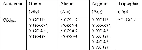 Câu 39: Alen B bị các đột biến điểm, tại cùng 1 triplet tạo thành các alen B1, B2 và B3. Các chuỗi pôlipeptit do các alen này quy định lần lượt là: B, B1, B2 và B3 chỉ khác nhau 1 axit amin đó là Gly ở chuỗi B bị thay bằng Ala ở chuỗi B1, Arg ở chuỗi B2 và Trp ở chuỗi B3. Cho biết các triplet được đọc trên mạch khuôn của gen theo chiều 3’ → 5’ và các côđon mã hóa các axit amin tương ứng ở bảng sau: Theo lí thuyết, phát biểu nào sau đây đúng về sự xuất hiện của các alen đột biến trên?