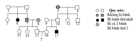 Câu 40: Phả hệ dưới đây mô tả hai bệnh di truyền phân li độc lập với nhau, mỗi bệnh do một gen quy định. Biết không xảy ra đột biến ở tất cả mọi người trong phả hệ. Theo lí thuyết, có bao nhiêu phát biểu sau đây đúng? I. Có thể xác định được kiểu gen của 9 người. II. Xác suất để cặp vợ chồng 15-16 sinh con đầu lòng bị cả hai bệnh là 1/36. III. Xác suất để cặp vợ chồng 15-16 sinh con đầu lòng chỉ bị một bệnh là 5/18. IV. Xác suất để cặp vợ chồng 15-16 sinh con đầu lòng là gái và không bị bệnh là 25/72.
