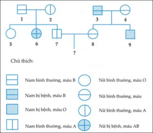 Câu 40: Tiến hành xét: Ở người, gen quy định nhóm máu và gen quy định bệnh P đều nằm trên nhiễm sắc thể thường và phân li độc lập. Theo dõi sự di truyền của hai gen này ở một dòng họ, người ta vẽ được phả hệ sau Biết rằng gen quy định nhóm máu gồm 3 alen, trong đó kiểu gen IAIA và IAIO đều quy định nhóm máu A, kiểu gen IBIB và IBIO đều quy định nhóm máu B, kiểu gen IAIB quy định nhóm máu AB và kiểu gen IOIO quy định nhóm máu O; gen quy định bệnh P có hai alen, alen trội là trội hoàn hoàn. Biết rằng không phát sinh đột biến mới ở tất cả những người trong phả hệ. Theo lí thuyết, có bao nhiêu phát biểu sau đây đúng ? I. Chưa thể xác định được chính xác kiểu gen của 3 người trong phả hệ trên II. Có tối đa 7 người trong phả hệ có kiểu gen dị hợp về tính trạng nhóm máu III. Xác suất để cặp vợ chồng 7 và 8 sinh một con trai có nhóm máu A và không bị bệnh P là 5/72 IV. Xác suất để cặp vợ chồng 7 và 8 sinh một con trai và một con gái đều có nhóm máu A và bị bệnh P là 1/1152