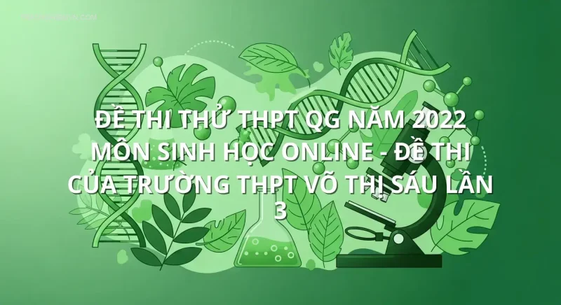 Đề thi thử THPT QG năm 2022 môn Sinh học online - Đề thi của Trường THPT Võ Thị Sáu lần 3