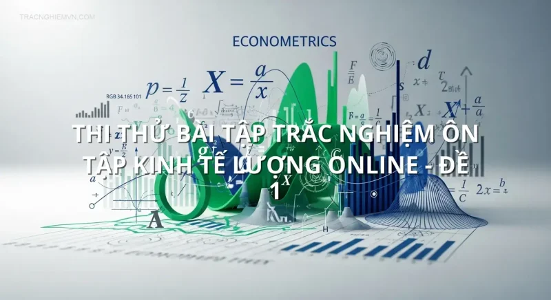 Thi thử bài tập trắc nghiệm ôn tập Kinh tế lượng online - Đề 1