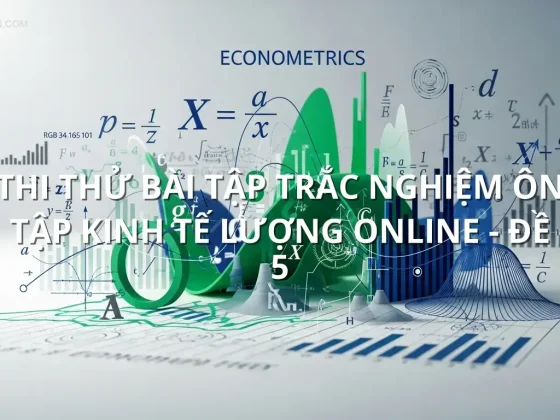 Thi thử bài tập trắc nghiệm ôn tập Kinh tế lượng online - Đề 5