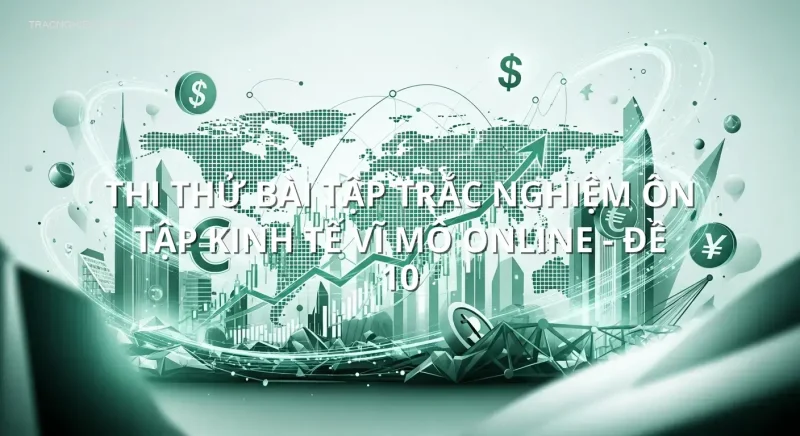 Thi thử bài tập trắc nghiệm ôn tập Kinh tế Vĩ Mô online - Đề 10