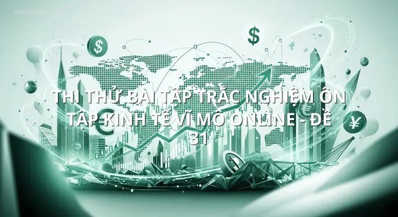 Thi thử bài tập trắc nghiệm ôn tập Kinh tế Vĩ Mô online - Đề 31