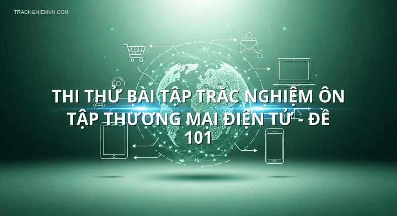 Thi thử bài tập trắc nghiệm ôn tập Thương mại điện tử - Đề 101