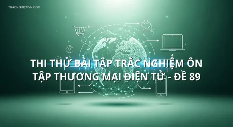 Thi thử bài tập trắc nghiệm ôn tập Thương mại điện tử - Đề 89