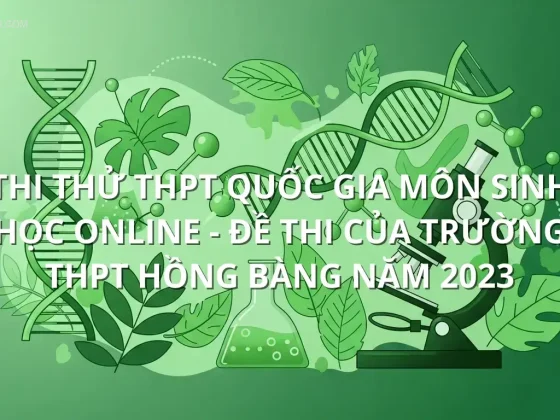 Thi thử THPT quốc gia môn Sinh Học online - Đề thi của Trường THPT Hồng Bàng năm 2023