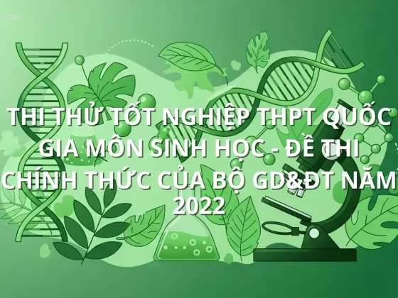 Thi thử tốt nghiệp THPT quốc gia môn Sinh Học - Đề thi chính thức của bộ GD&ĐT năm 2022
