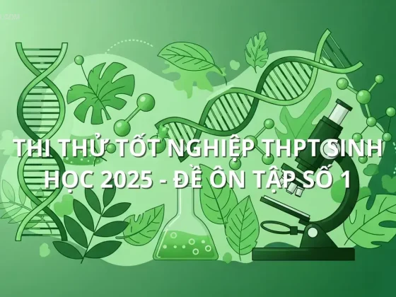 Thi Thử Tốt Nghiệp THPT Sinh học 2025 - Đề ôn tập số 1