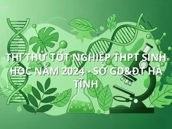 Thi Thử Tốt Nghiệp THPT Sinh học năm 2024 - Sở GD&ĐT Hà Tĩnh