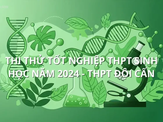 Thi Thử Tốt Nghiệp THPT Sinh học năm 2024 - THPT Đội Cấn