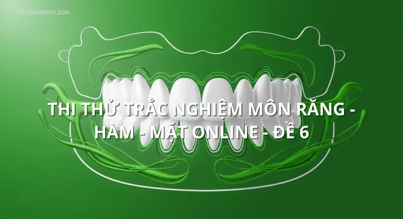 Thi thử trắc nghiệm môn Răng - Hàm - Mặt online - Đề 6