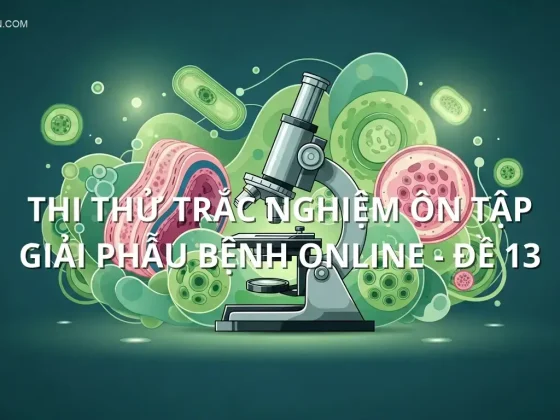 Thi thử trắc nghiệm ôn tập Giải phẫu bệnh online - Đề 13