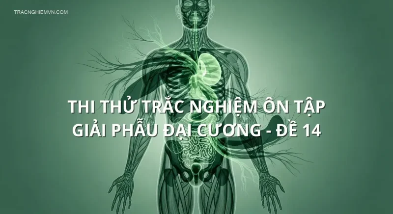 Thi thử trắc nghiệm ôn tập Giải phẫu đại cương - Đề 14