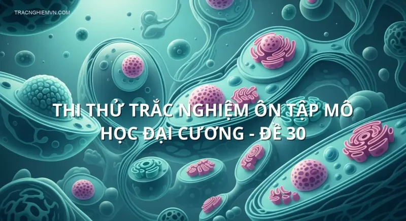 Thi thử trắc nghiệm ôn tập Mô học đại cương - Đề 30