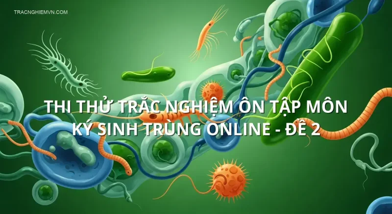 Thi thử trắc nghiệm ôn tập môn Ký sinh trùng online - Đề 2
