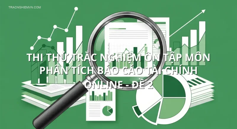 Thi thử trắc nghiệm ôn tập môn Phân tích báo cáo tài chính online - Đề 2