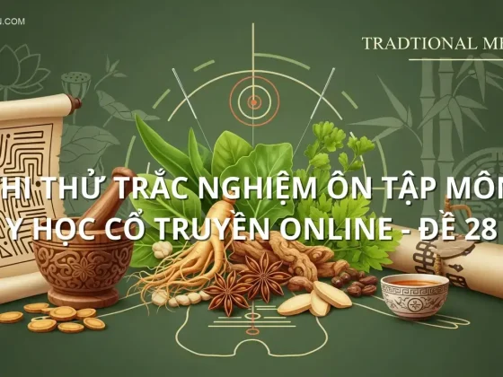 Thi thử trắc nghiệm ôn tập môn Y học cổ truyền online - Đề 28