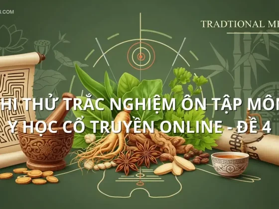 Thi thử trắc nghiệm ôn tập môn Y học cổ truyền online - Đề 4