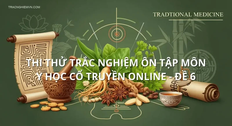 Thi thử trắc nghiệm ôn tập môn Y học cổ truyền online - Đề 6
