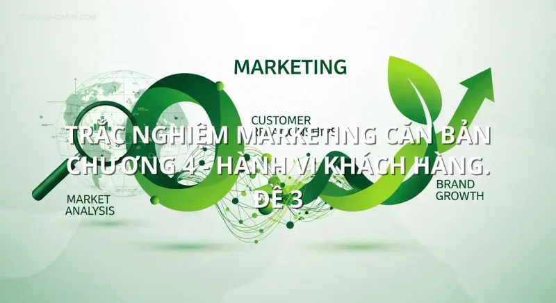 Trắc nghiệm marketing căn bản chương 4 - Hành vi khách hàng. Đề 3